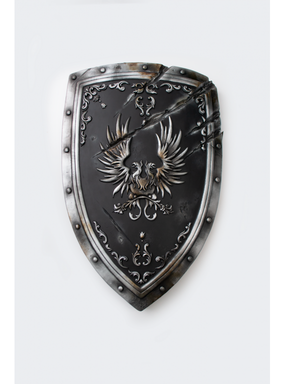Grey Warden Dragon Age shield for  LARP and cosplay..