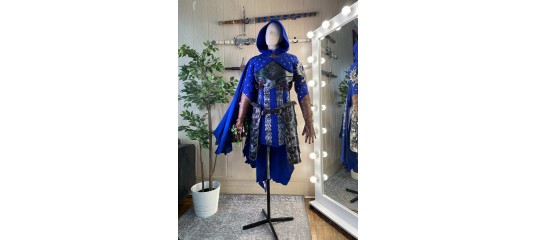 Grey Warden Cousland / Human Noble Origin Dragon Age Destructagon Cosplay