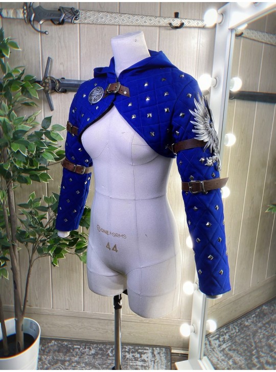 Grey Wardens gambeson from Dragon age..