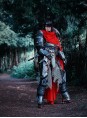 Hawke warrior armor from Dragon Age 2 