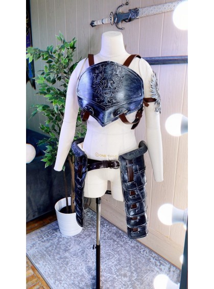 Grey Warden Rouge cosplay ONLY ARMOR