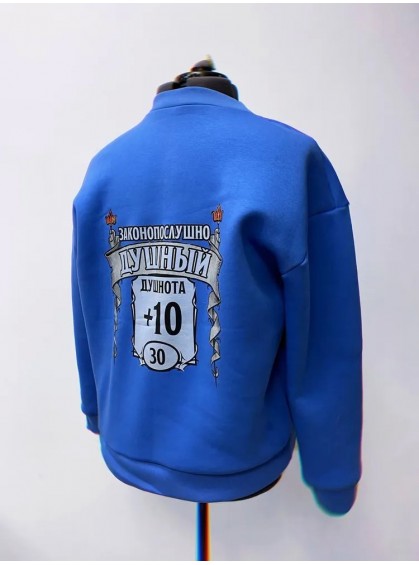 Sweatshirt "Законопослушно душный" /  Худи Свитшот